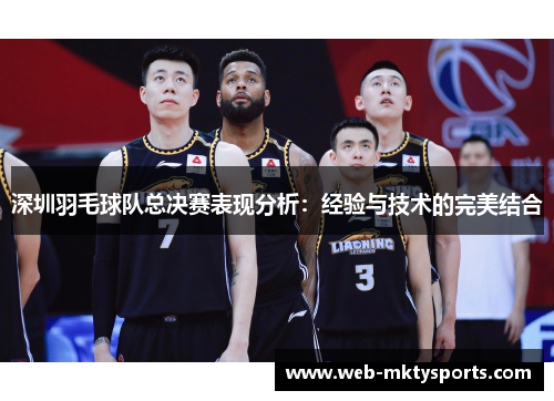 深圳羽毛球队总决赛表现分析：经验与技术的完美结合