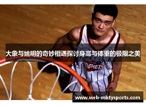 大象与姚明的奇妙相遇探讨身高与体重的极限之美