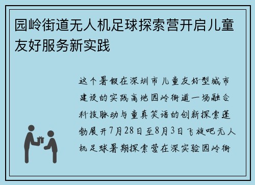 园岭街道无人机足球探索营开启儿童友好服务新实践
